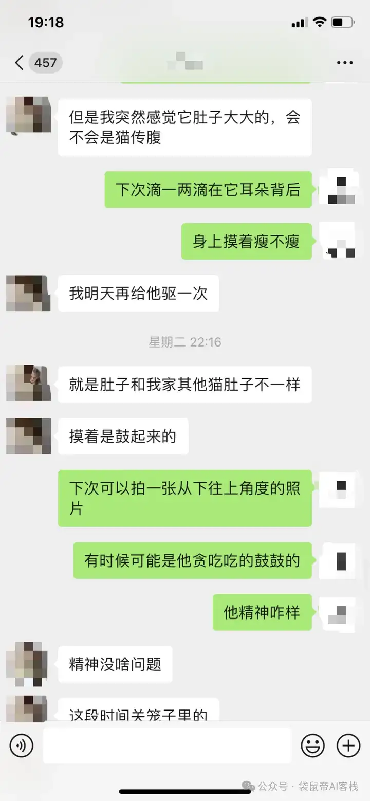 RAG天花板！从0到1打造商用Agent【喂了1G资料】