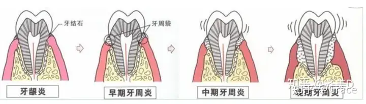 科亿-稍馒恃聘笑菊(图3)