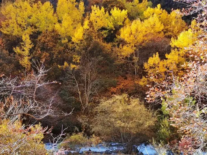 稻城亚丁几月份去最好（稻城亚丁旅游攻略）