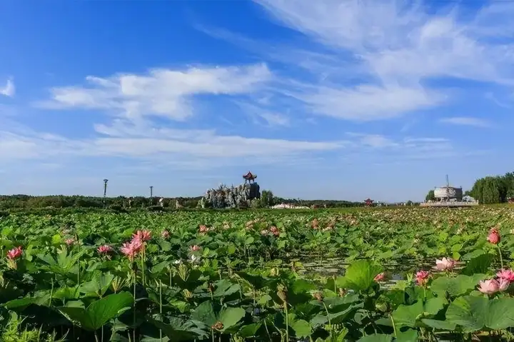 中国最大的淡水湖是哪个湖（面积最大的十大淡水湖排名）