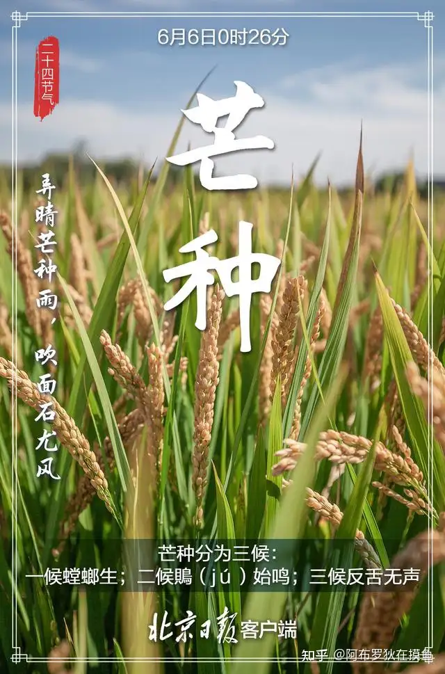芒种也称「忙种」，这一天对农事耕种意味着什么？民间都有哪些传统习俗？