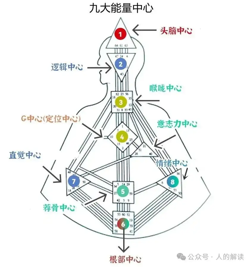人类图简明入门使用教程-人的解读