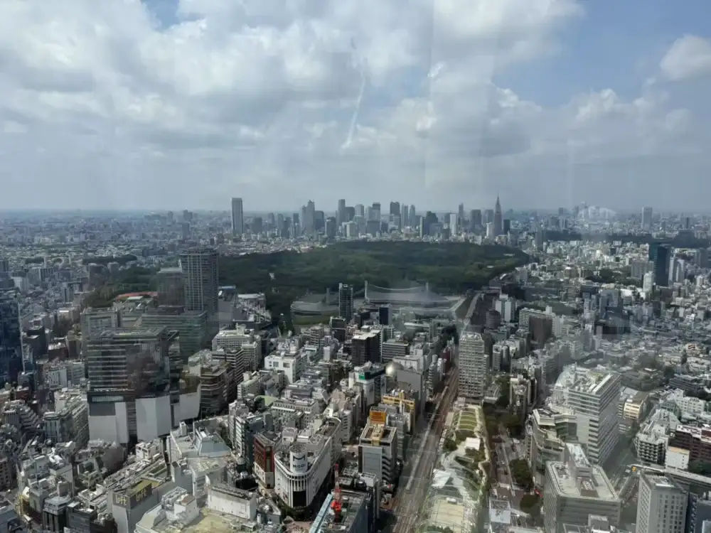“AI政客”，闯入日本参议院选举