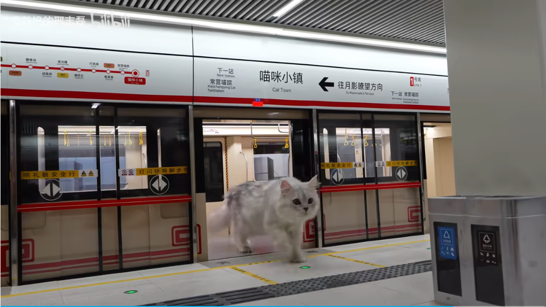 刷屏抖音小红书的 AI 猫片，让我一边上头一边反胃