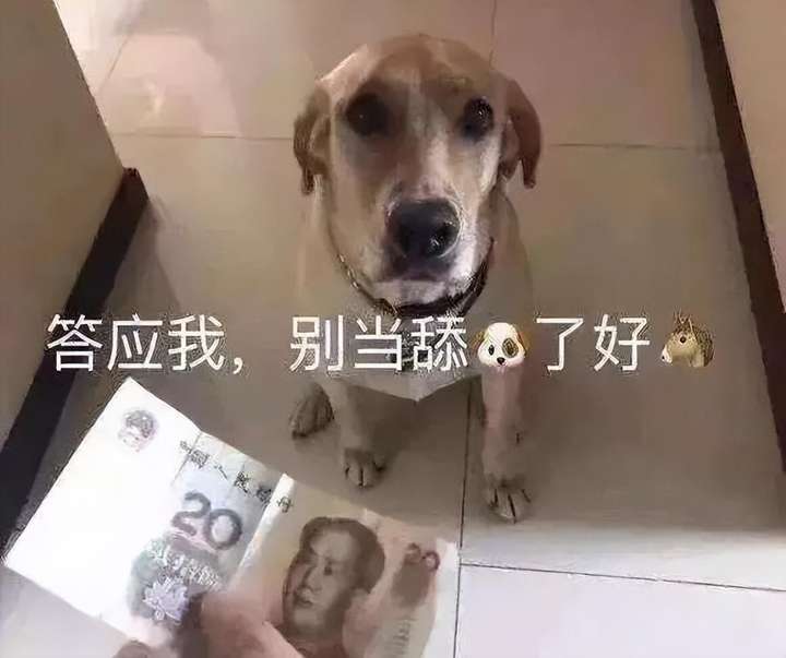 舔狗是什么意思呢？舔狗的五大特征