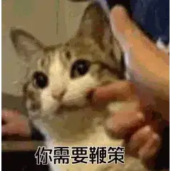 拍我AI，AI视频的抽象之王哈哈哈哈哈