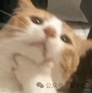 首次解释LLM如何推理反思！西北大学谷歌新框架：引入贝叶斯自适应强化学习，数学推理全面提升