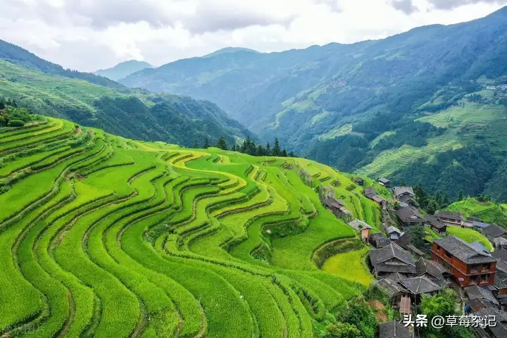 贵州自驾游怎么安排好（贵州五日游最佳攻略）