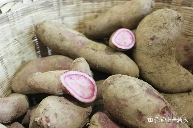 各种蔬菜瓜果分别在什么时候传入中国？
