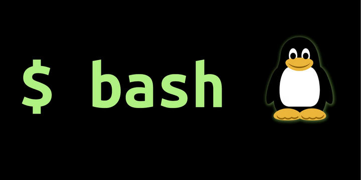 How to Run a Bash Script in Linux