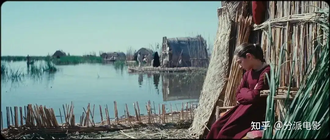 这部冷门佳片，《总统的蛋糕》烂番茄新鲜度99%