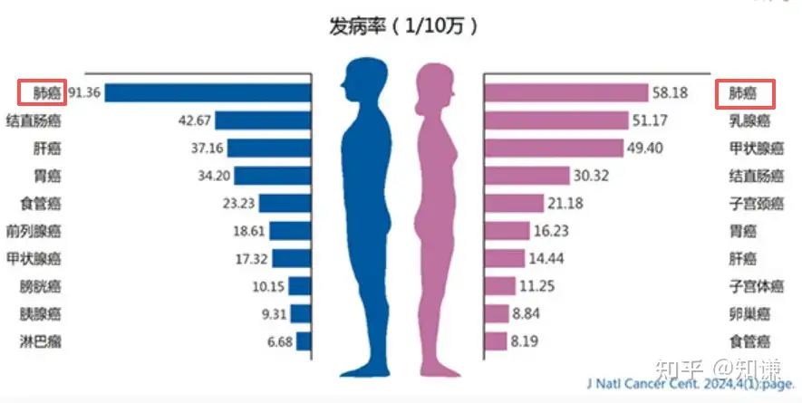 报告称肺癌成中国女性第一大癌种，导致女性肺癌发病率升高的原因有哪些？日常该如何预防？