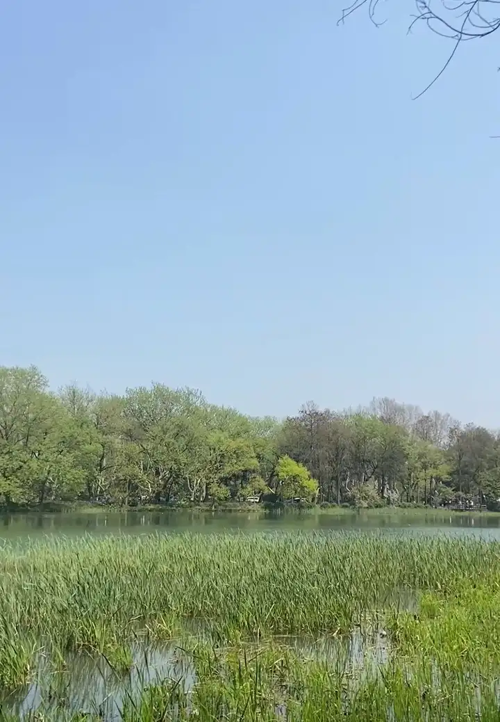 杭州西湖一日游路线的最佳安排，西湖一日游3条路线攻略