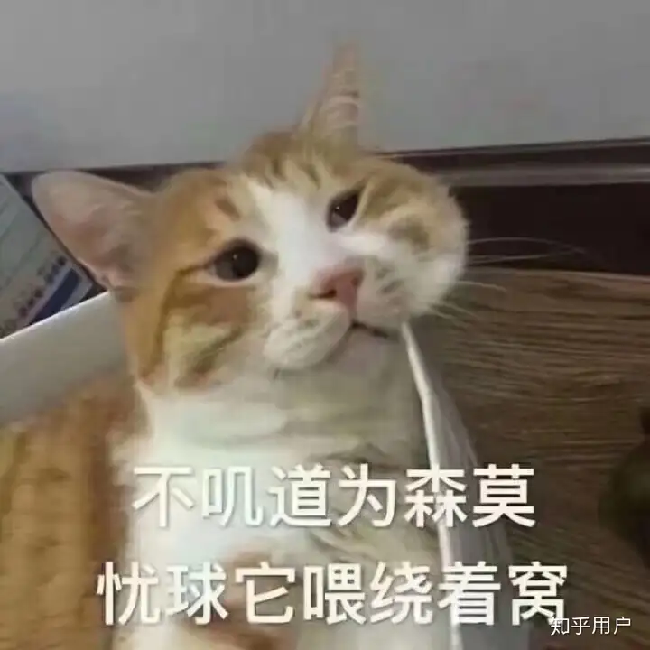 如何跟团欧洲游？