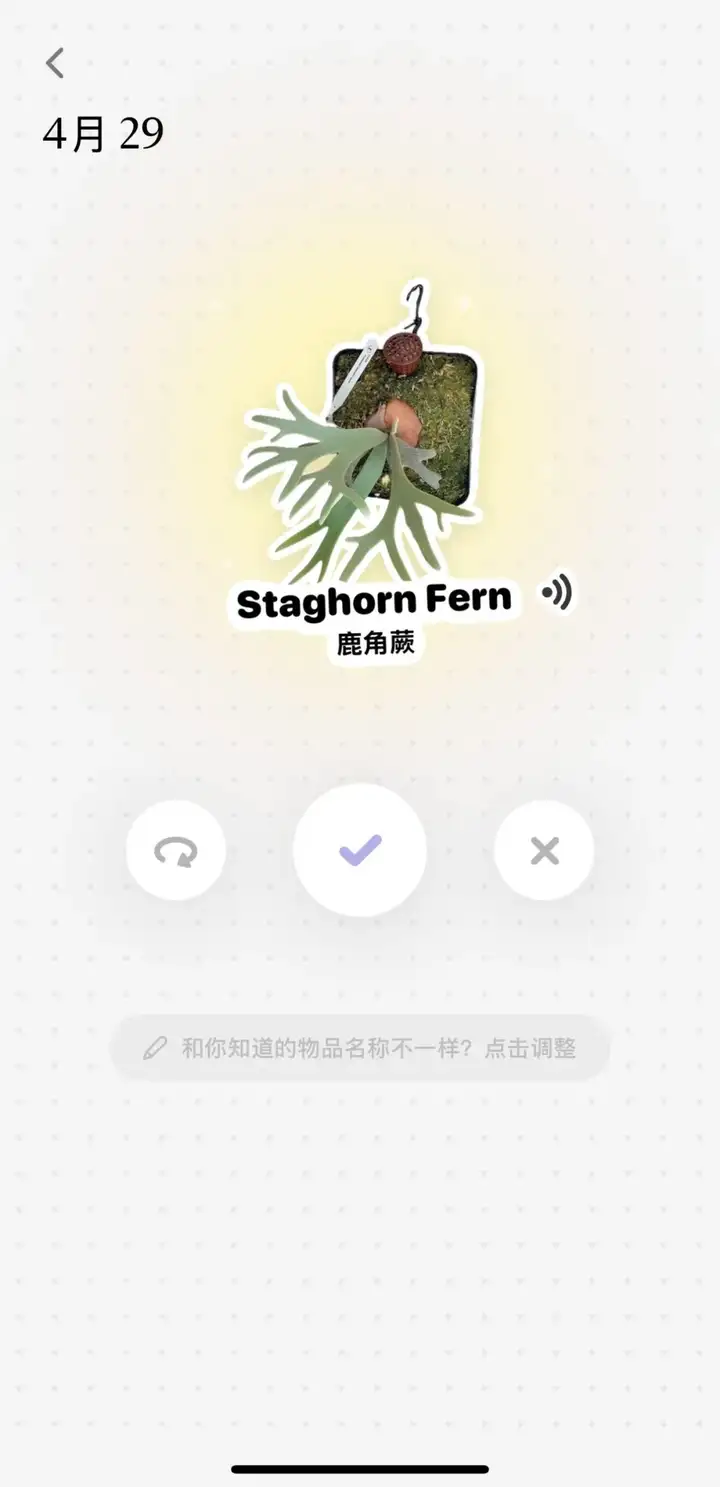 被多邻国“追杀”的我，逃到了这款爆款AI应用学英语