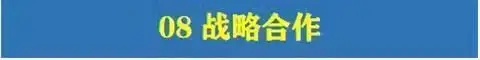 图片[20]-780套公司合作协议模版【全行业各种类】-各种专案业务渠道商务战略合作框架合同【电商热销24】-暗冰资源网