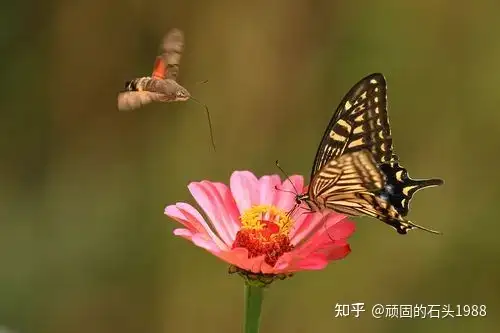 为什么有些人可以用 5% 的努力战胜别人的 95%？