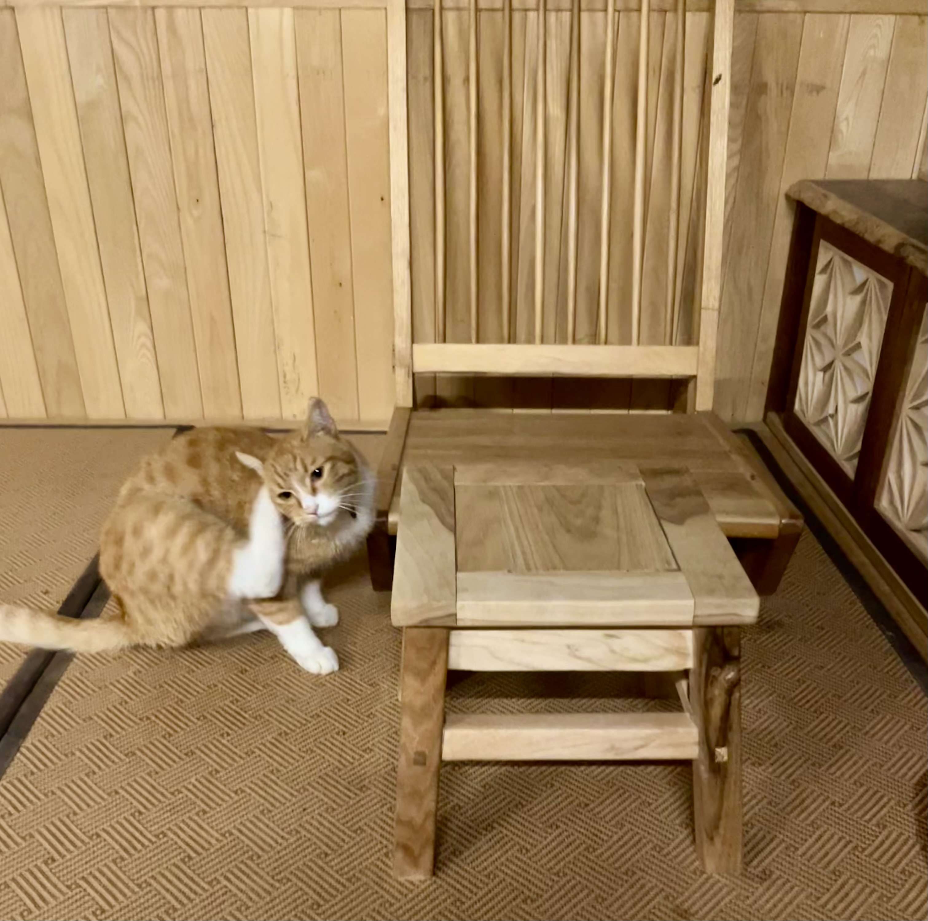 么么哒 的想法: 如何摆脱无聊感 | 发现慢慢很难获得乐趣… - 知乎