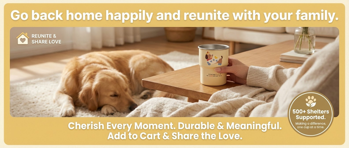 v2-28e4895f077d76484be933dd3c04b1c0_720w