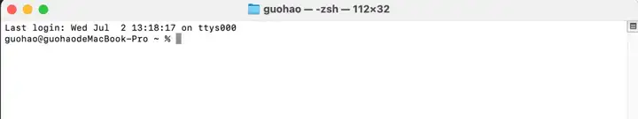 普通人用Gemini CLI提效的 1 万种方法！藏师傅保姆级教程