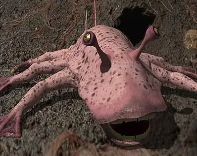 地球上存在硅基生物吗