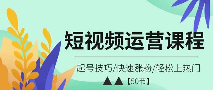 短视频运营课程：起号技巧/快速涨粉/轻松上热门【50节】-就爱副业网