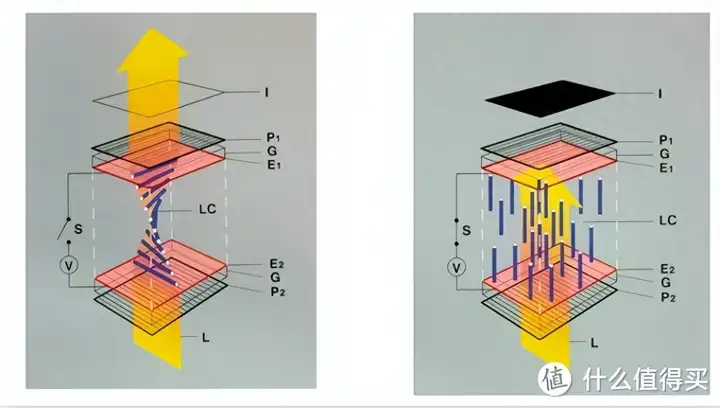 电脑显示器什么牌子好（2023年显示器选购指南）