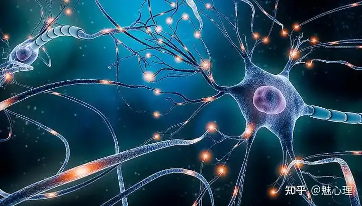 情绪失控是前额叶损伤、激素操控…三分钟热度是ADHD，为什么现在好像很流行把人的情感简化成生理本能？