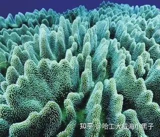 请问生物矿化作用，和微生物降解作用，两者有何区别和联系？ - 知乎