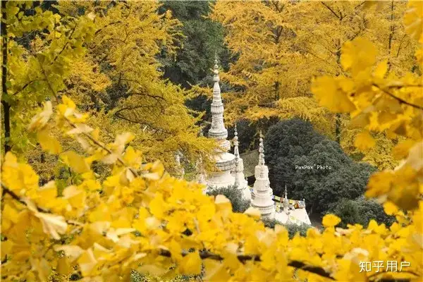 四川旅游攻略?