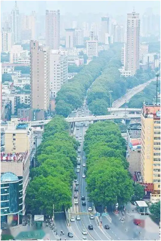 郑州是怎样的一个城市?