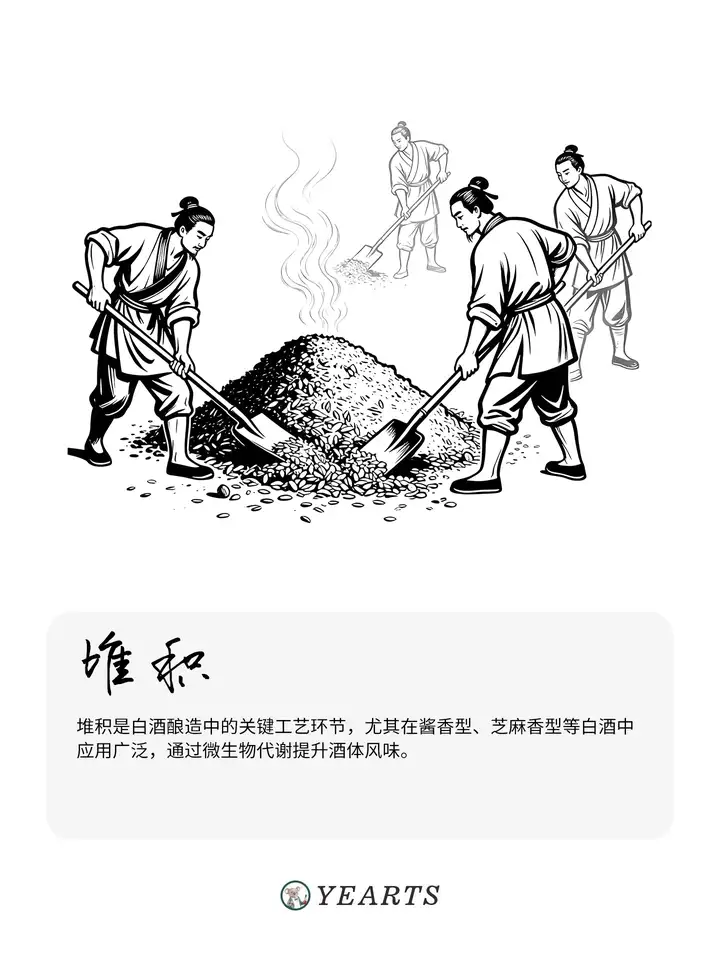 图片[9]-传统白酒酿造工艺流程-yearts