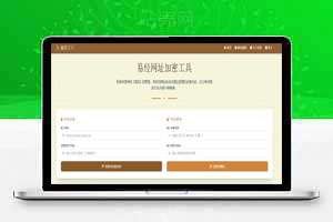 玄学工具，易经网址加密解密源码