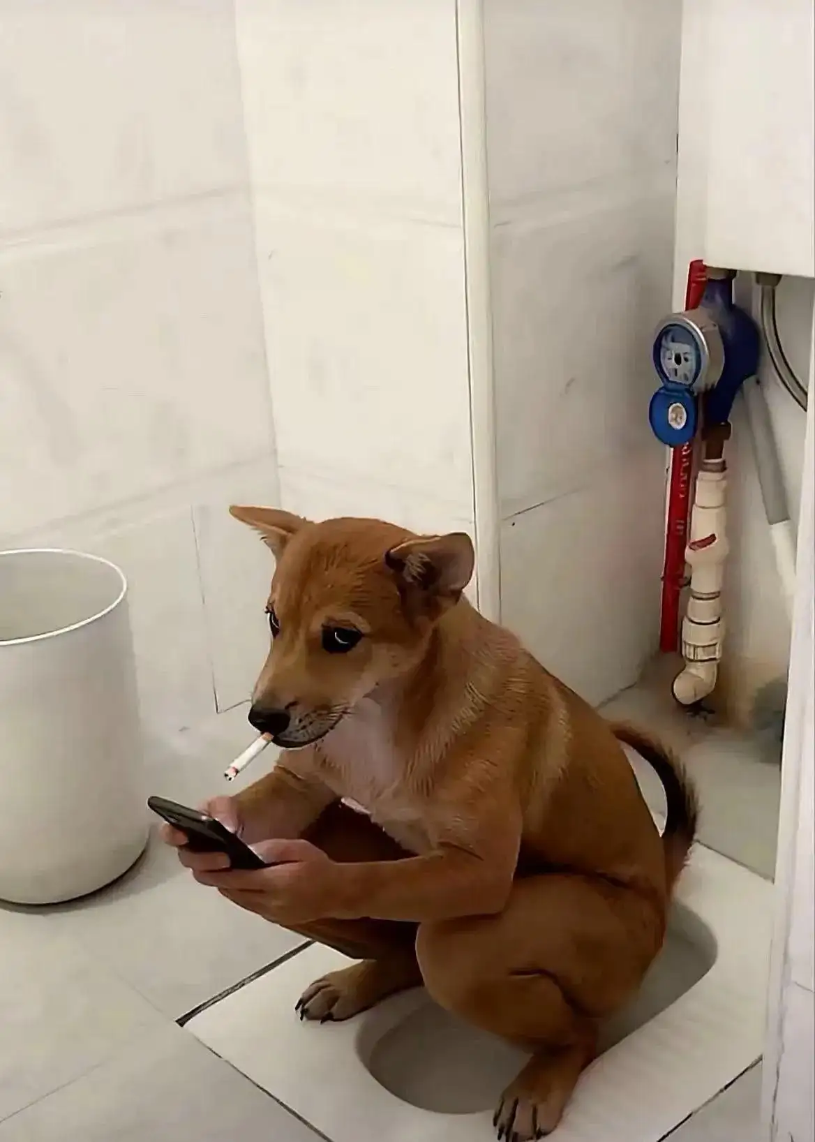 公司高管假期后就没来上班，同事说他被挖走了，结果下班就收到他让我跳槽消息，涨薪50%，到底该不该去？