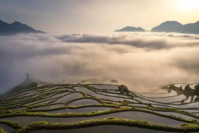 丽水旅游景点哪里好玩（浙江丽水旅游攻略必去景点）