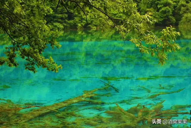 四川旅游必去十大景点推荐（四川值得去的地方有哪些）