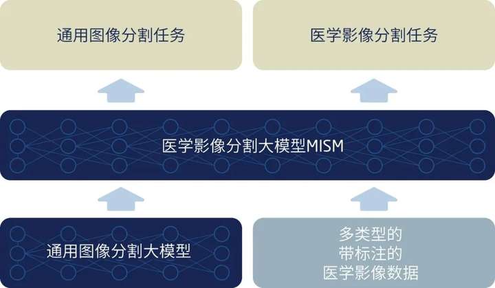 全新升级｜东软发布基于医学影像大模型的飞标广州SEO的平台4.0版