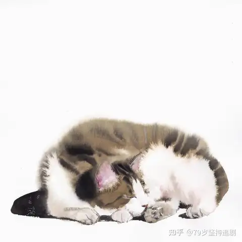 79岁坚持追剧的想法: 一看就知道，只有养过猫的人才能画出如此生动可爱