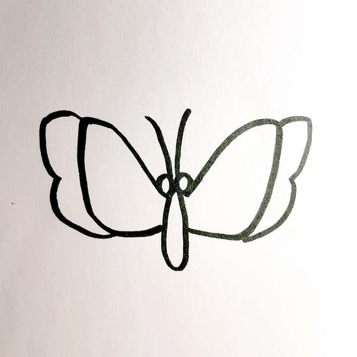 蝴蝶简笔画简单又漂亮 蝴蝶的画法简单又可爱