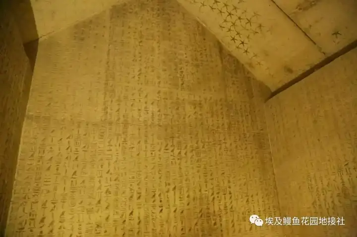 今年8月跟团去埃及旅游，埃及安全吗？