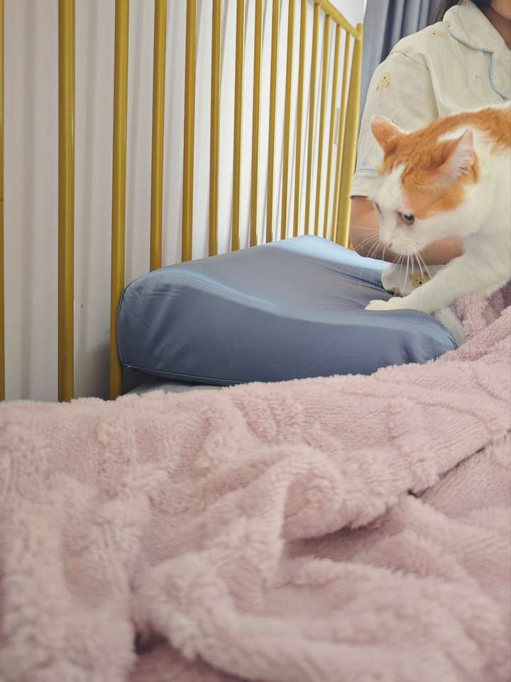 坦白局｜睡觉流口水 + 油皮猫，终于挖到能机洗的本命护颈枕！