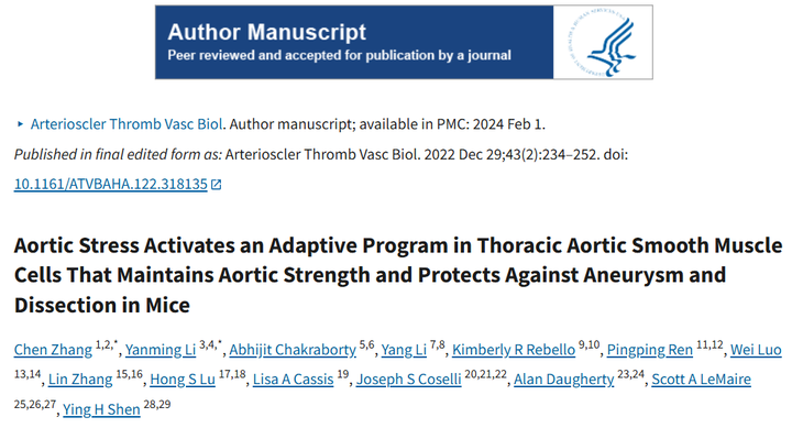 小鼠主動(dòng)脈應(yīng)力激活胸主動(dòng)脈平滑肌細(xì)胞中的適應(yīng)性程序，維持主動(dòng)脈強(qiáng)度并防止動(dòng)脈瘤和夾層