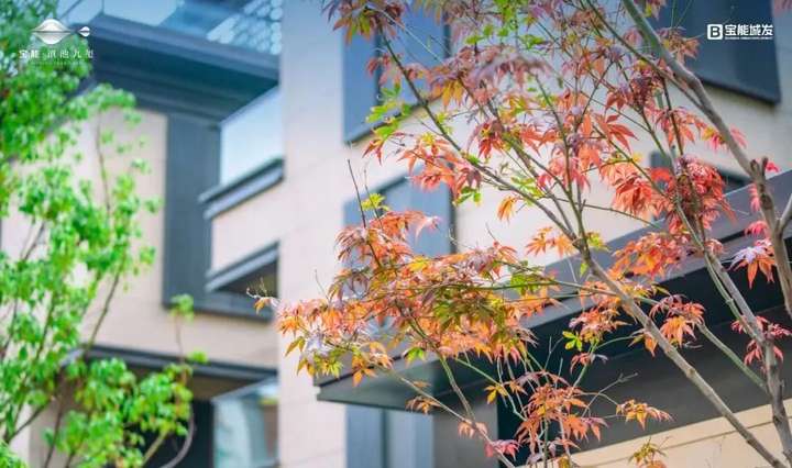 昆明宝能滇池九玺已交房,小区实景图鉴赏-昆明楼盘网