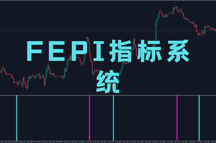 FEPI指标系统