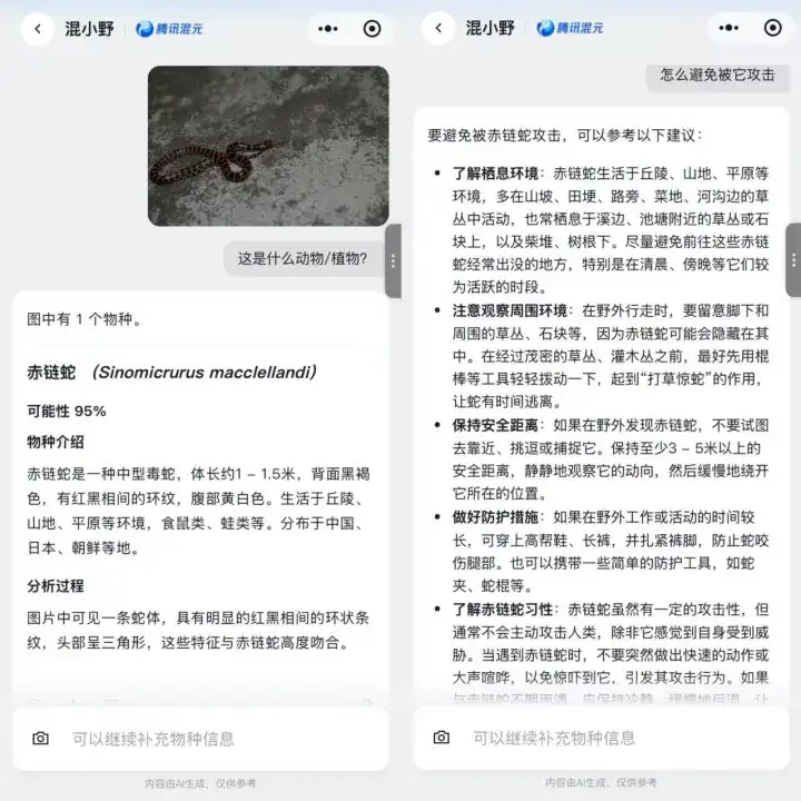在AI这事上，腾讯终于干了一件很“野”的事