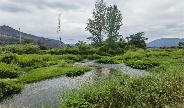 南丰县林业局 ：守护湿地资源 发展生态产业