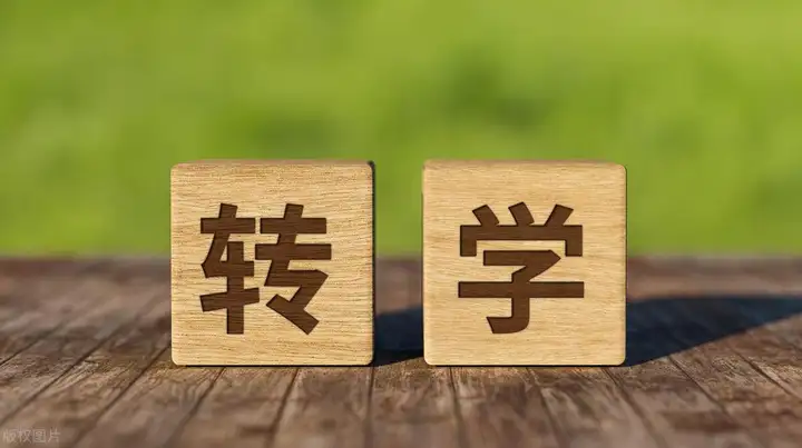 图片[6]-2024外地子女如何转学上海？附转学材料+流程+常见问题！-落沪窝