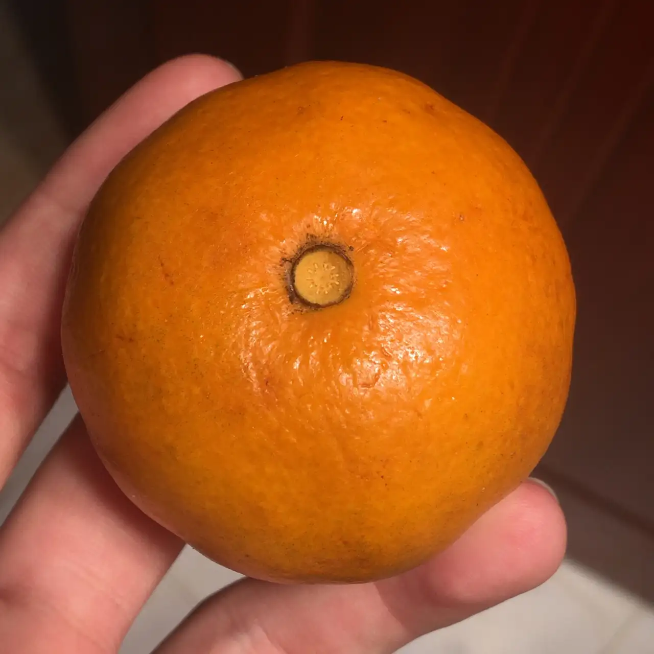 你知道的最冷的冷知识是什么？