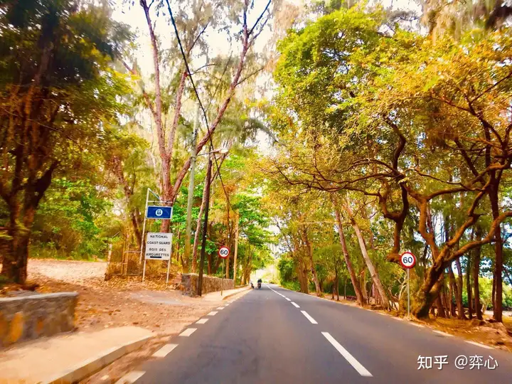 去过毛里求斯后你最大的感受是什么？