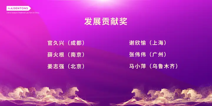 刑铸法治 骏启新程｜大成刑委会2025年会盛典耀启邕城